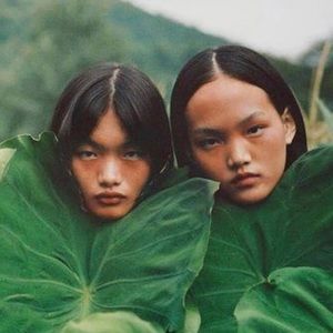 Meet your Posher, Bondet